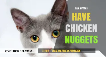 Can Kittens Eat Chicken Nuggets? A Vet's Advice for Pet Owners