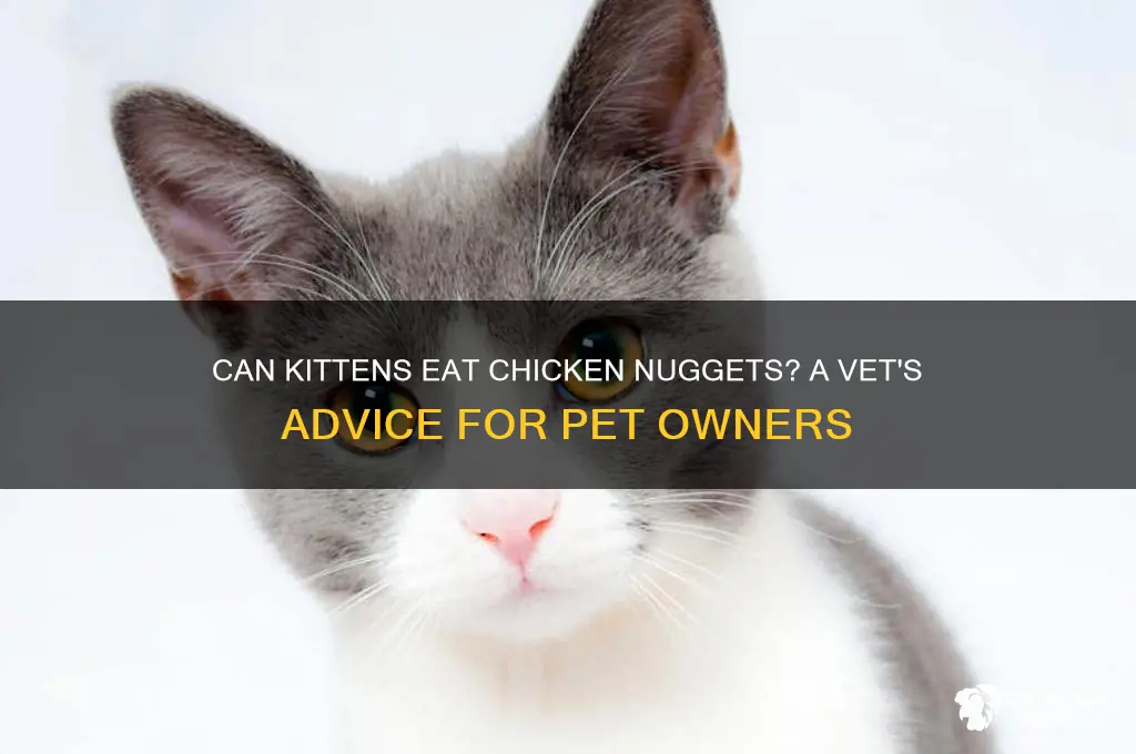 can kittens have chicken nuggets