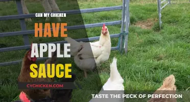 Can Chickens Eat Applesauce? Safe Feeding Tips for Your Flock