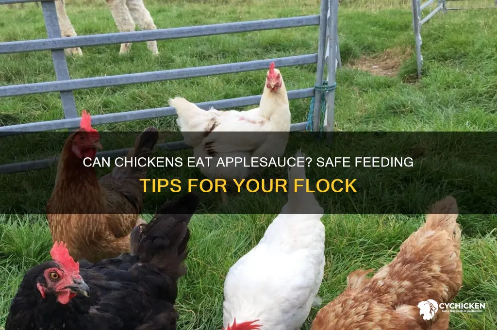 can my chicken have apple sauce