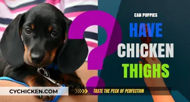 Can Puppies Eat Chicken Thighs? A Safe Feeding Guide