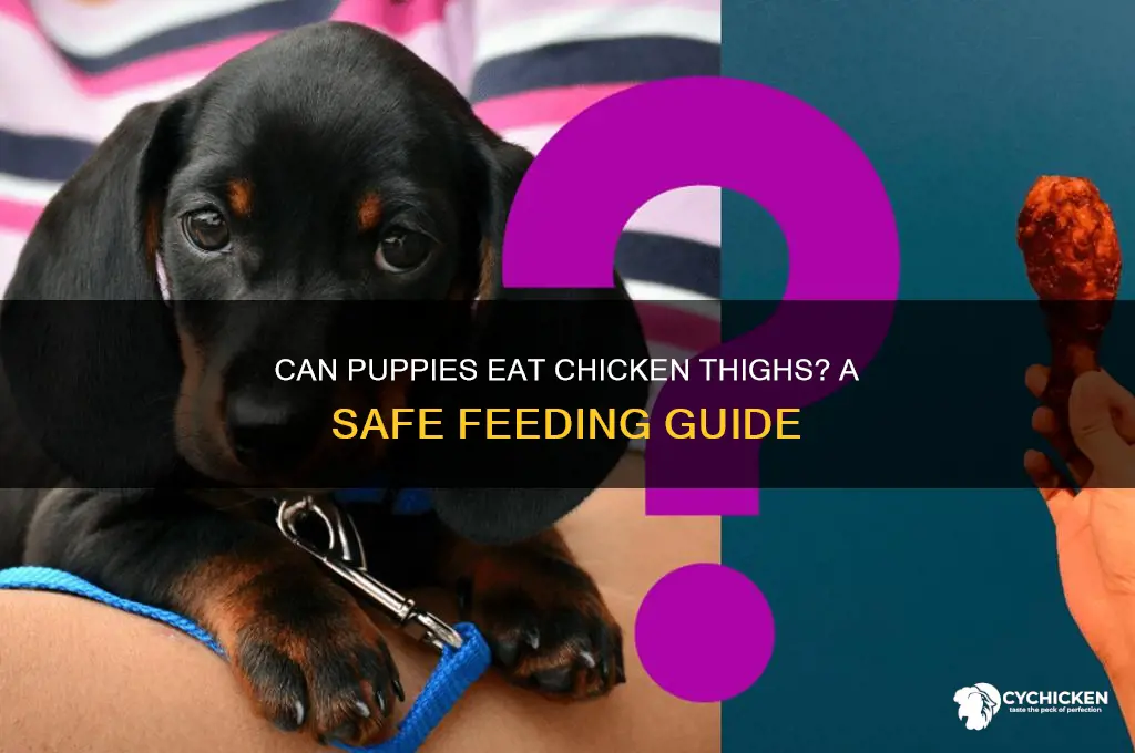 can puppies have chicken thighs