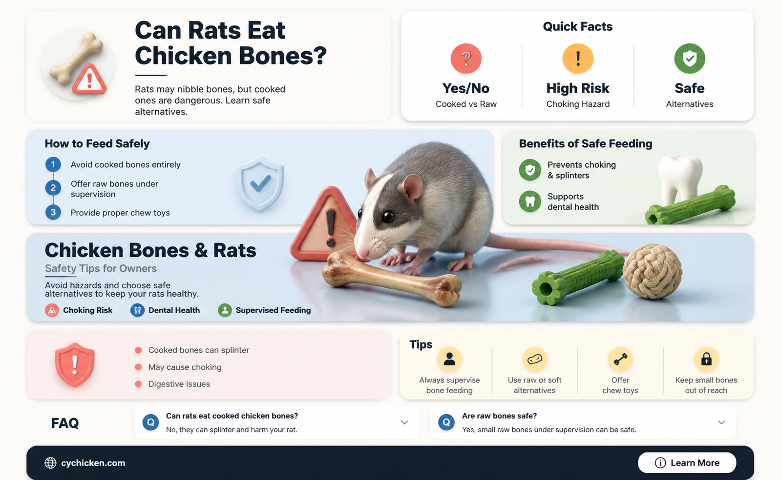 are chicken bones safe for pet rats