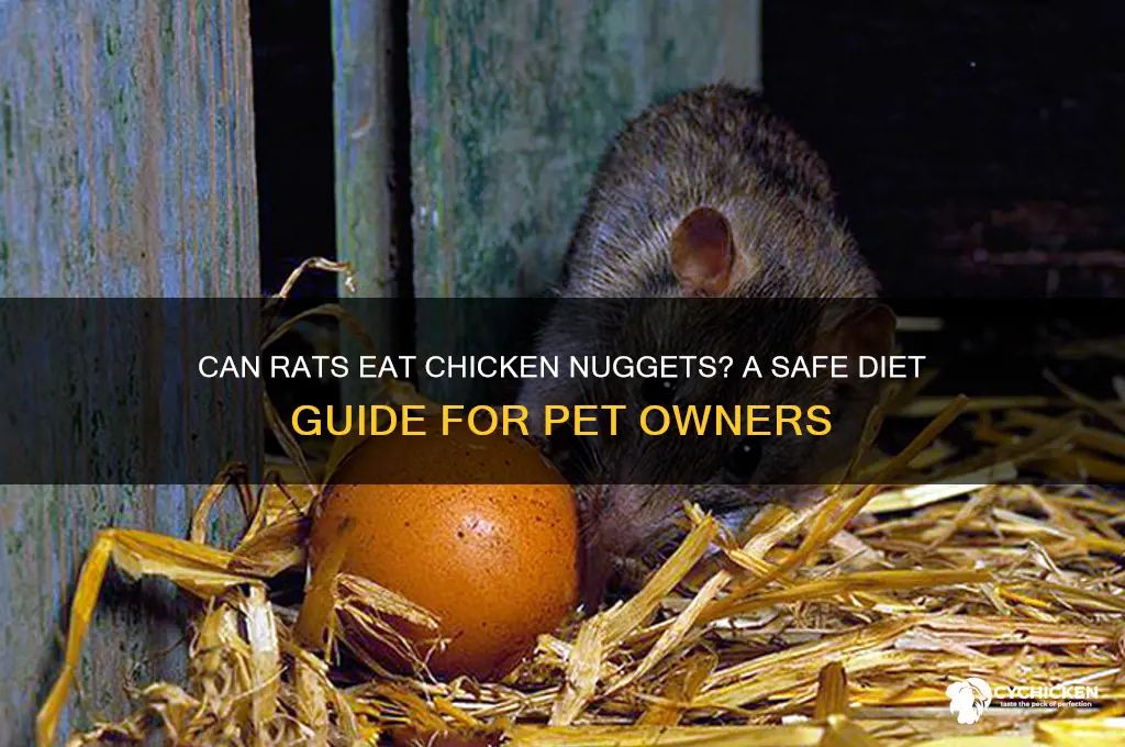 can rats have chicken nuggets