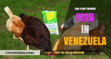 Buying Chicken Feed in Venezuela: Availability, Challenges, and Solutions