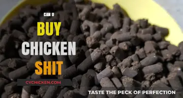 Can You Buy Chicken Manure? Exploring Its Uses and Availability
