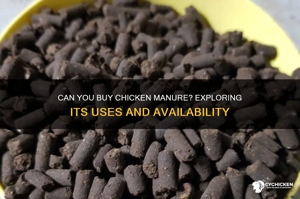can u buy chicken shit