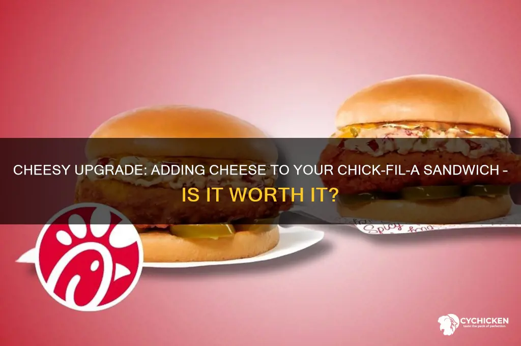 can you add cheese to chick fil a sandwich