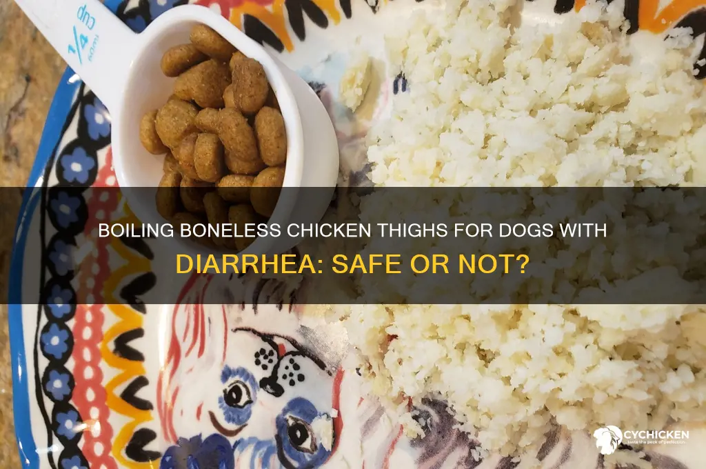 can you boil boneless chicken thighs for dogs with diarrhea