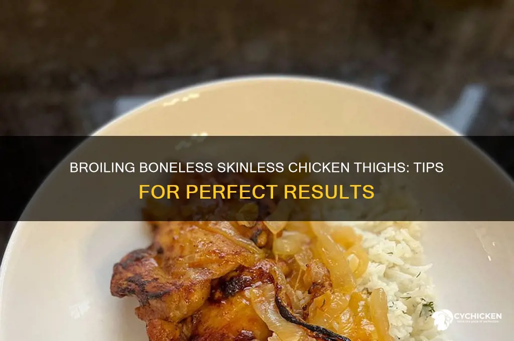can you broil boneless skinless chicken thighs