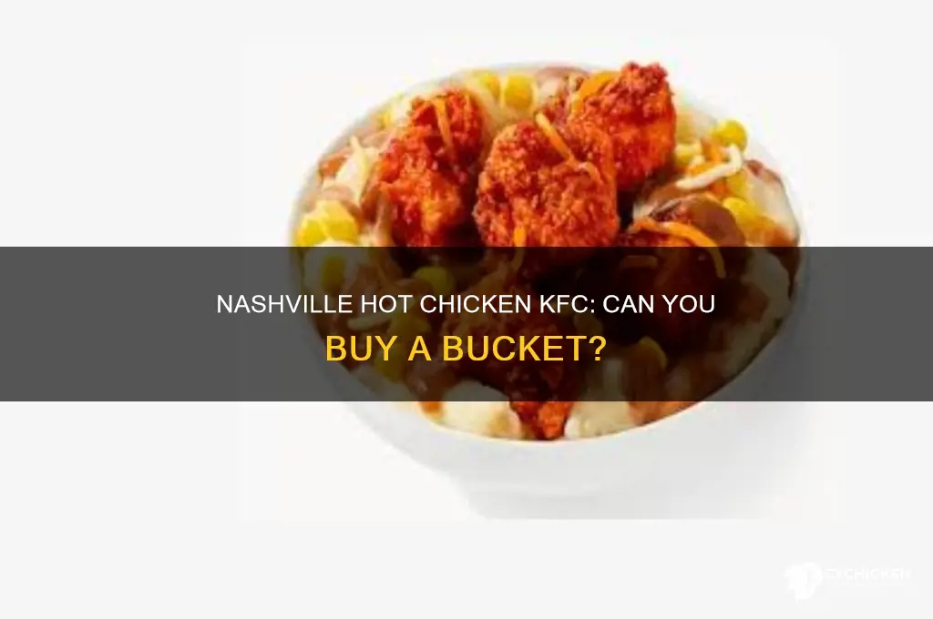can you buy a bucket of nashville hot chicken kfc