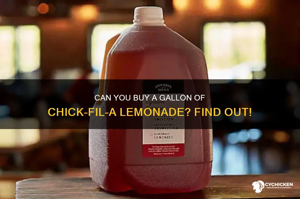 can you buy a gallon of chick fil a lemonade