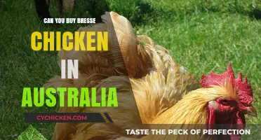 Where to Find Authentic Bresse Chicken in Australia: A Guide