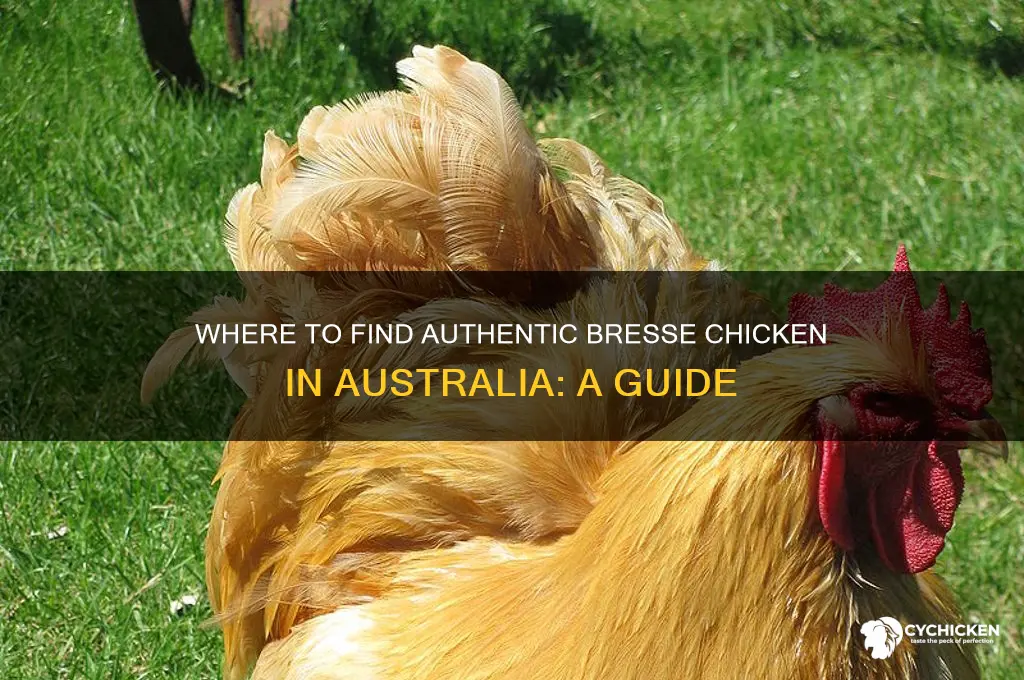 can you buy bresse chicken in australia