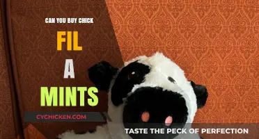 Where to Find Chick-fil-A Mints: A Sweet Treat Guide