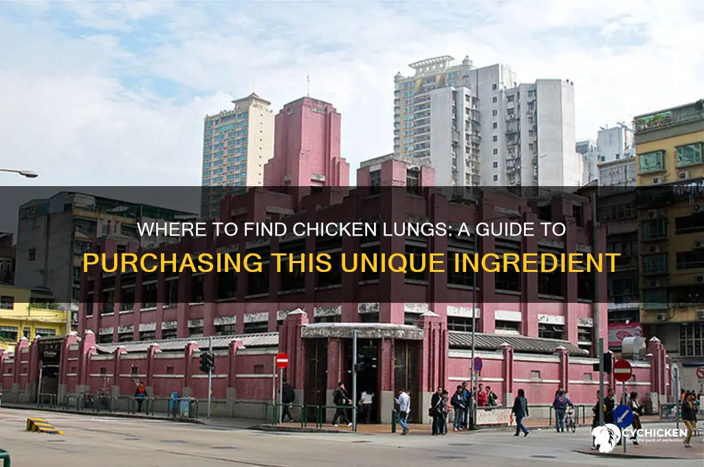 can you buy chicken lungs