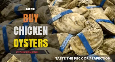 Where to Find and Buy Chicken Oysters: A Culinary Guide