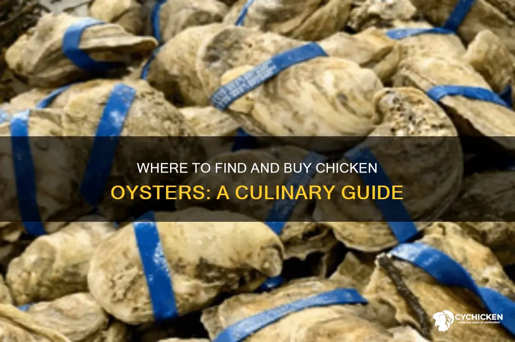 can you buy chicken oysters