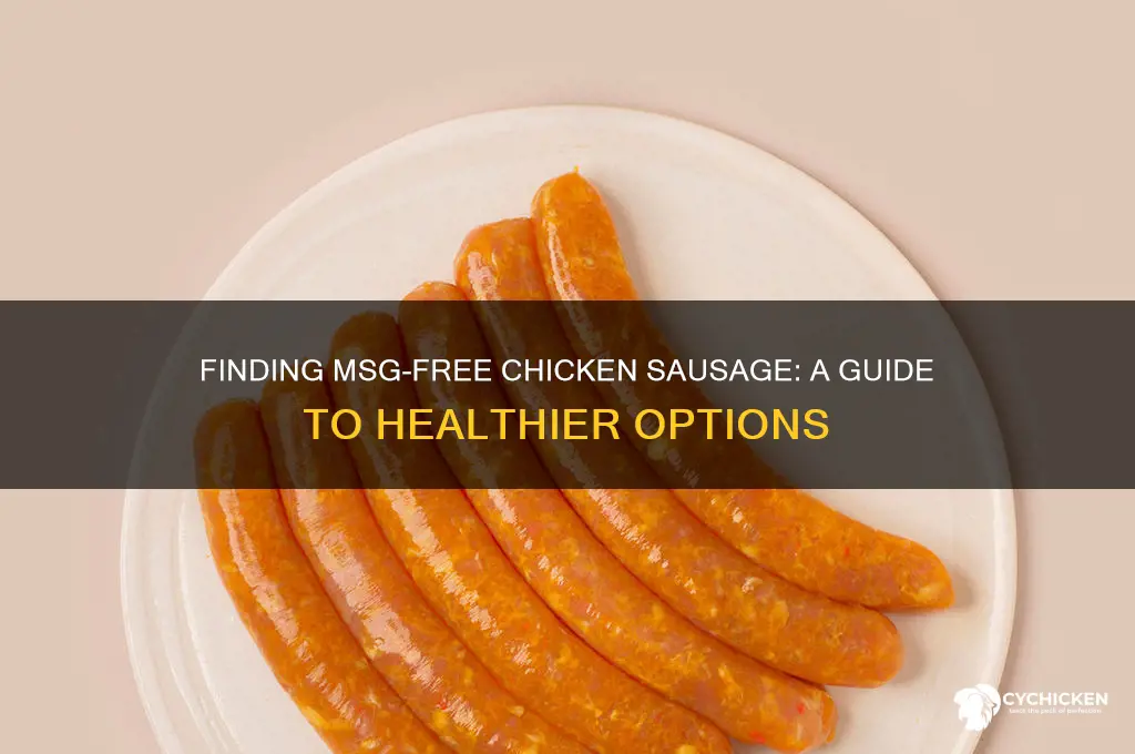 can you buy chicken sausage without msg