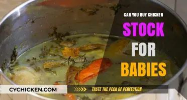 Is Chicken Stock Safe for Babies? A Parent's Guide to Feeding