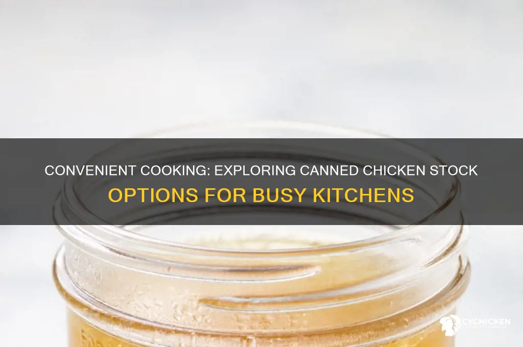 can you buy chicken stock in a can