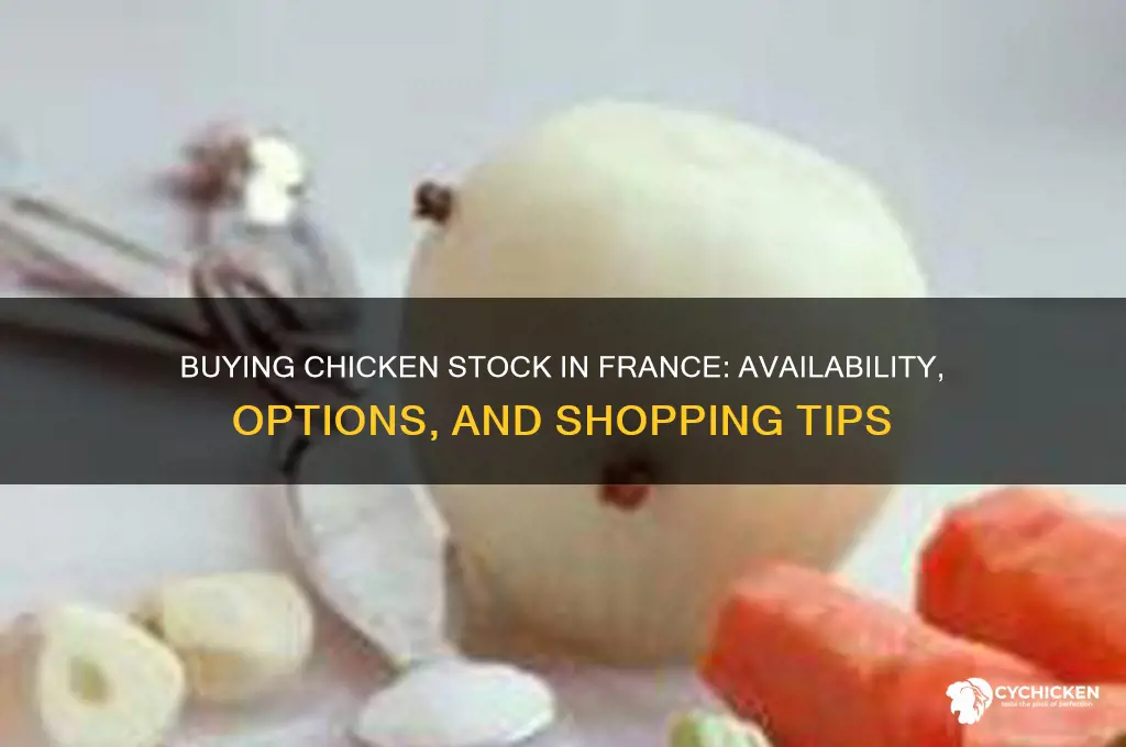can you buy chicken stock in france