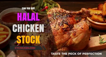 Where to Find and Buy Halal Chicken Stock: A Guide