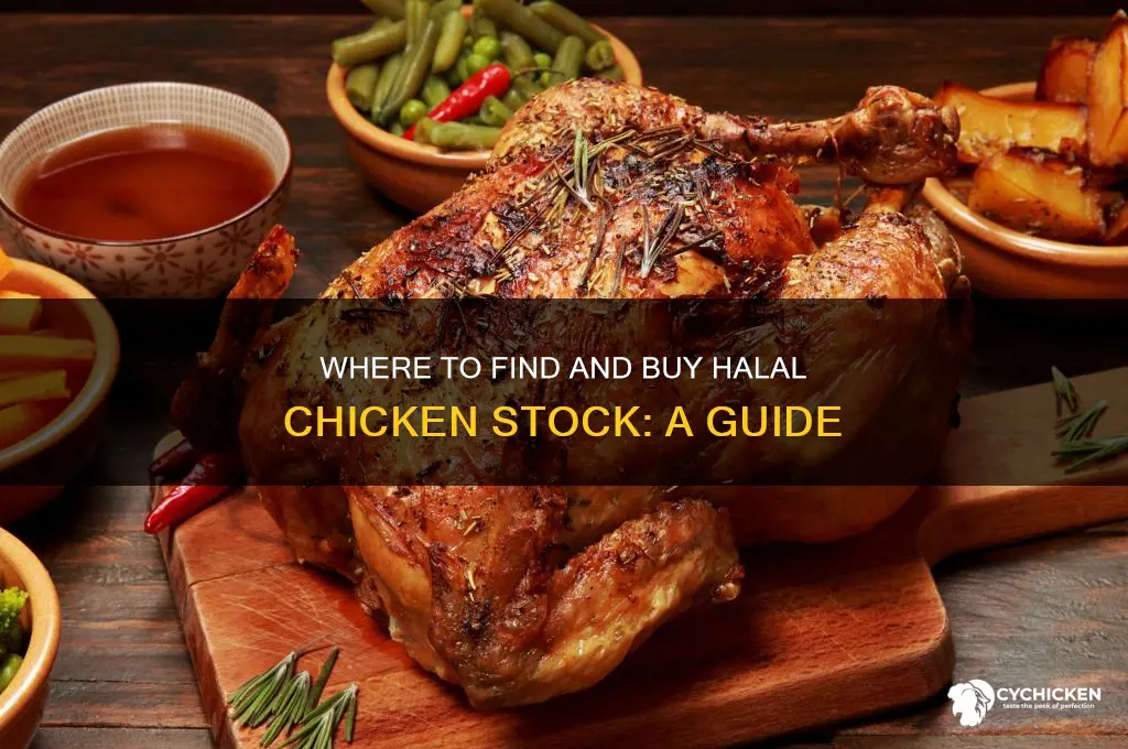 can you buy halal chicken stock