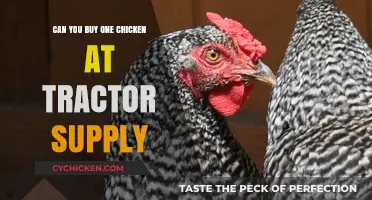 Buying Single Chickens at Tractor Supply: What You Need to Know