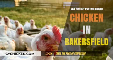 Where to Find Pasture-Raised Chicken in Bakersfield: A Buyer's Guide