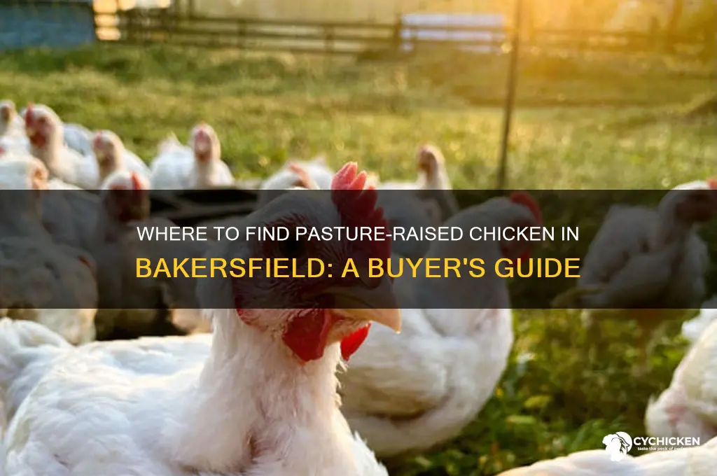 can you buy pasture raised chicken in bakersfield