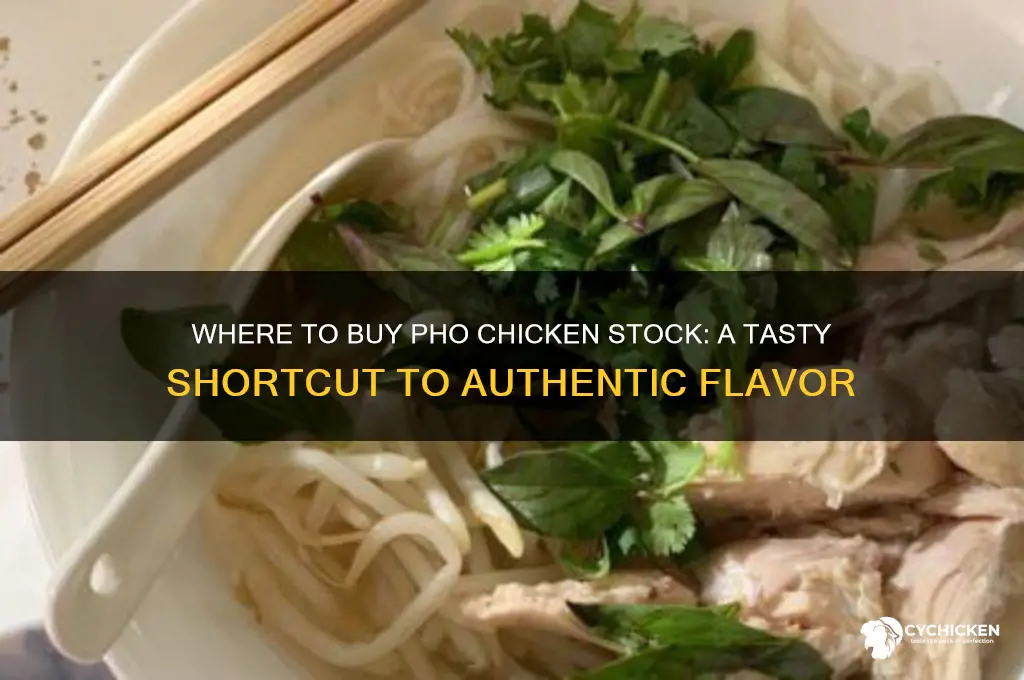 can you buy pho chicken stock
