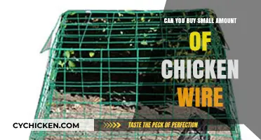 Where to Buy Small Quantities of Chicken Wire for DIY Projects
