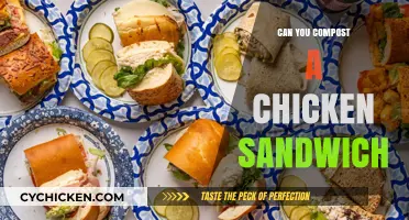 Composting Chicken Sandwiches: What’s Safe and What’s Not?