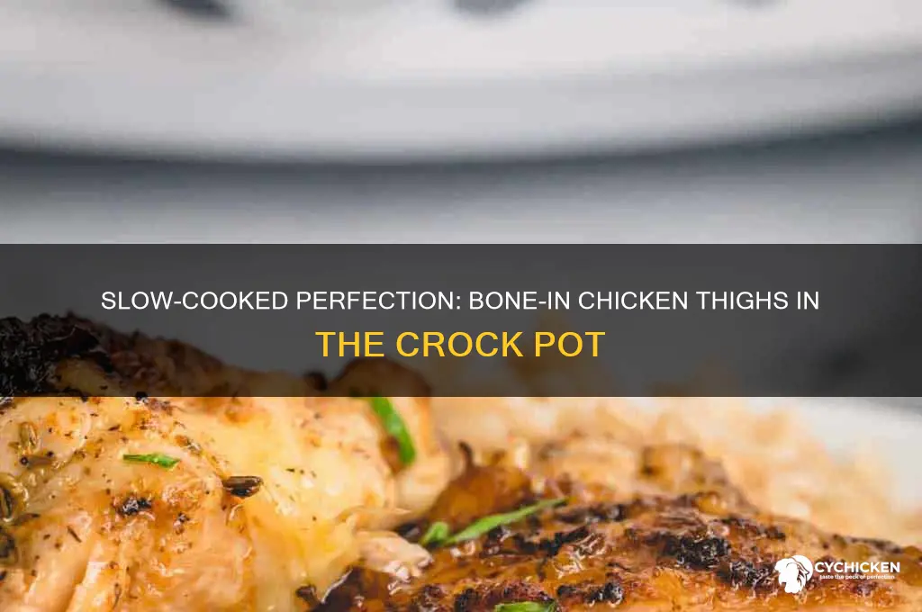 can you cook bone in chicken thighs in crock pot