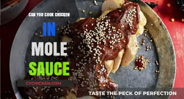 Cooking Chicken in Mole Sauce: A Flavorful Mexican Culinary Adventure