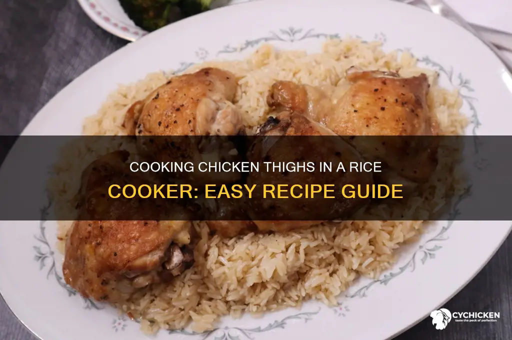can you cook chicken thighs in rice cooker