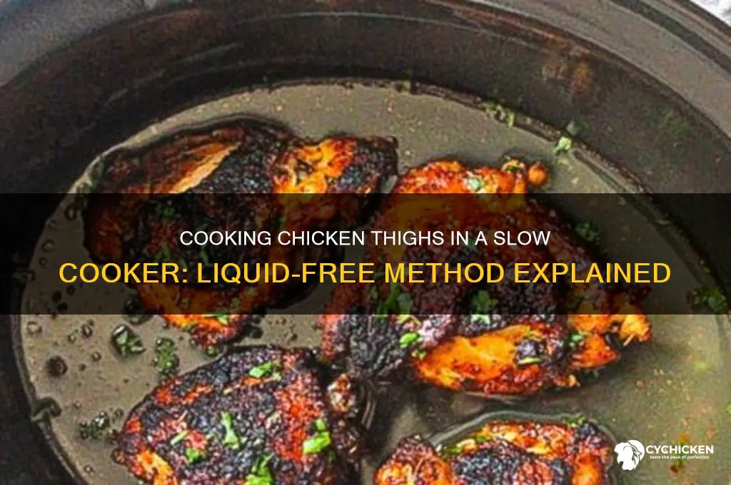 can you cook chicken thighs in slow cooker without liquid