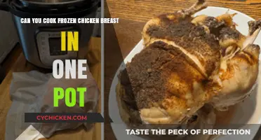 One-Pot Wonder: Cooking Frozen Chicken Breast to Perfection