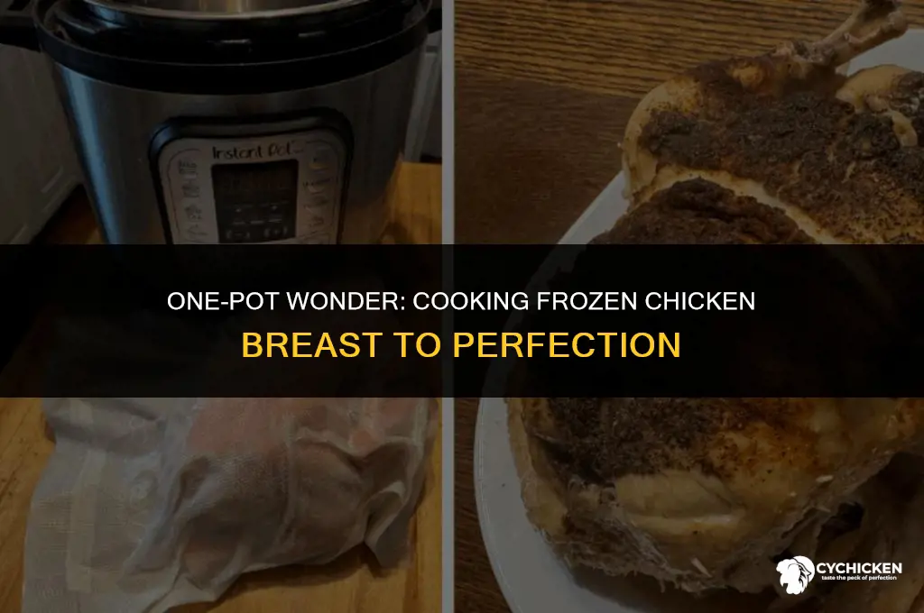 can you cook frozen chicken breast in one pot