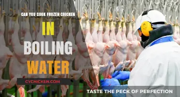 Boiling Point: The Ultimate Guide to Cooking Frozen Chicken Safely