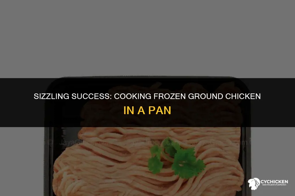 can you cook frozen ground chicken in a pan