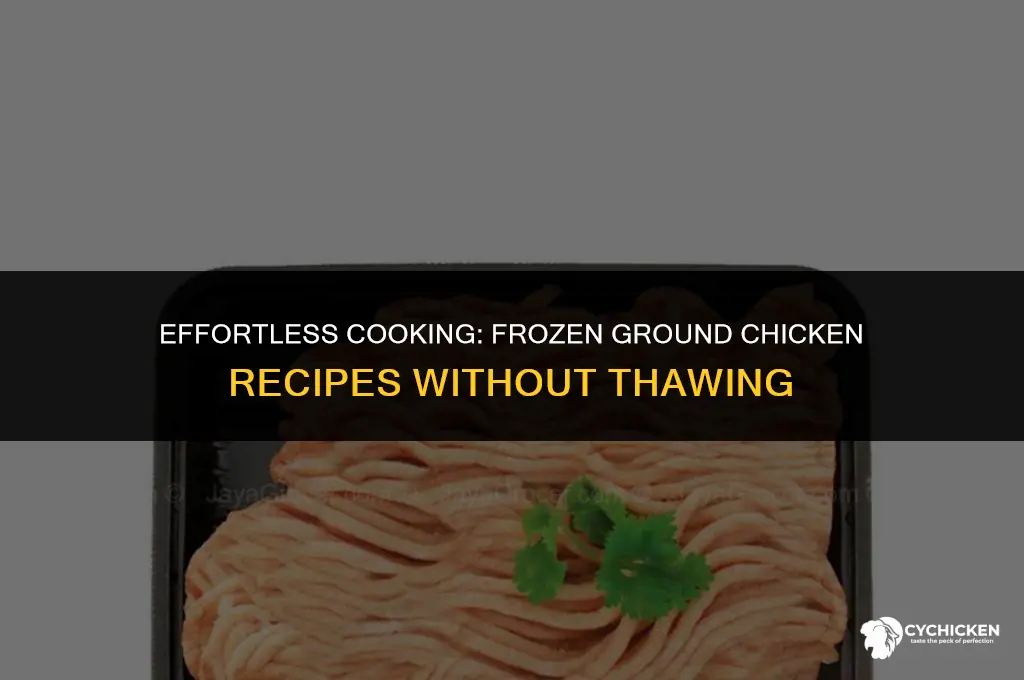 can you cook frozen ground chicken without thawing