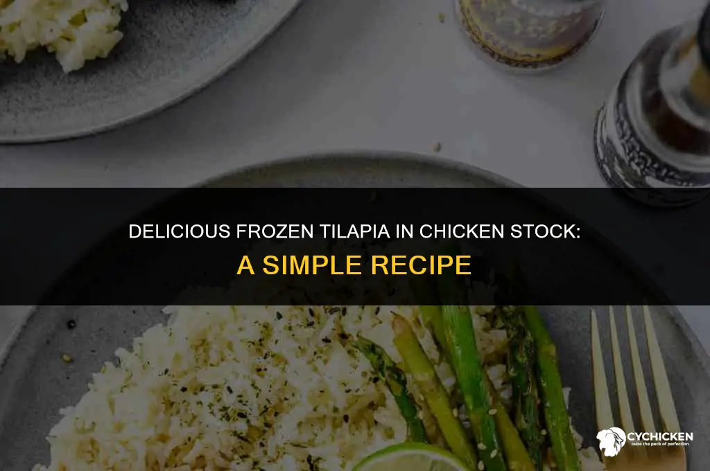 can you cook frozen talapia in chicken stock