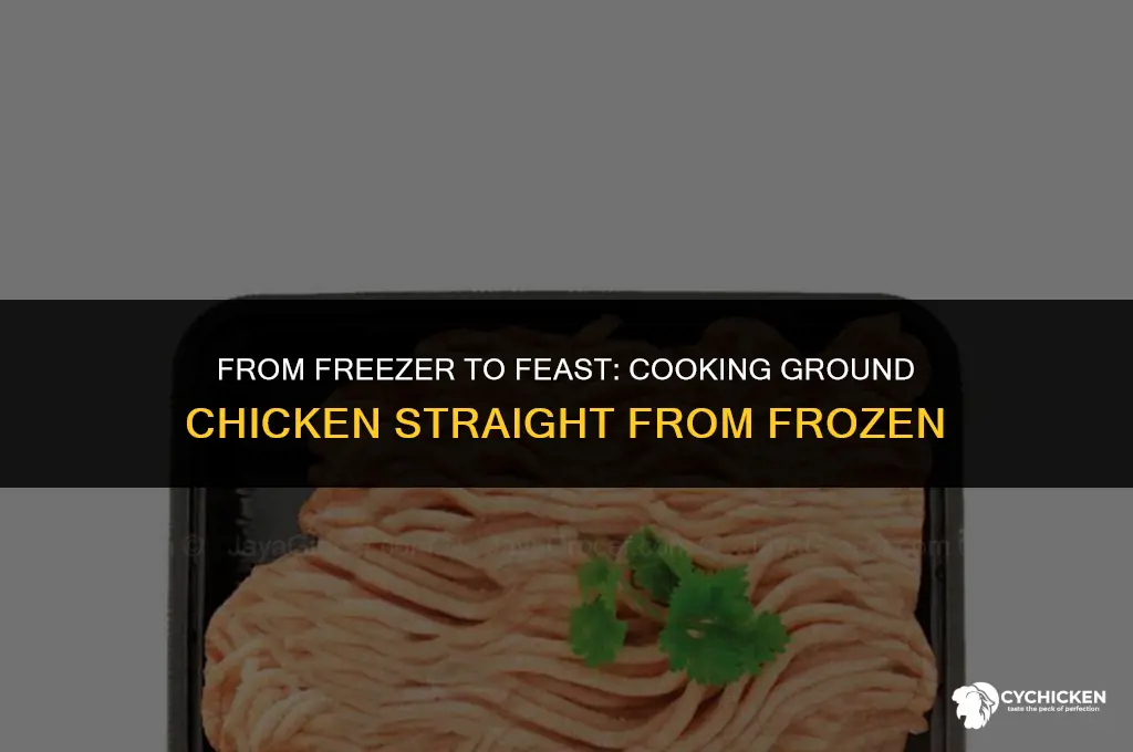 can you cook ground chicken frozen