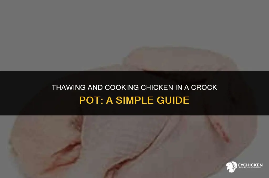 can you cook half frozen chicken in crock pot