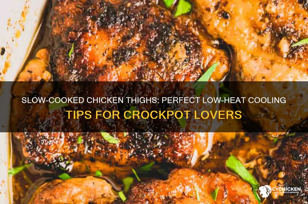 can you cool chicken thighs on low in the crockpot