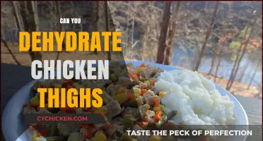 Dehydrating Chicken Thighs: A Complete Guide to Preserving Flavor and Texture