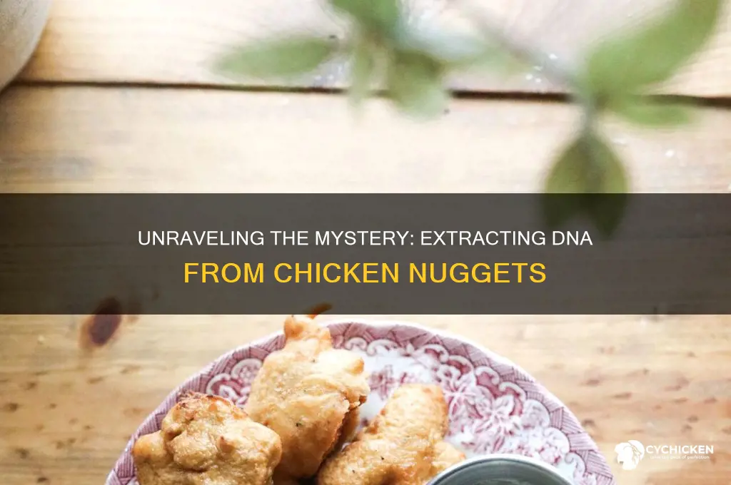 can you extract dna from a chicken nugget