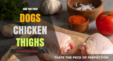 Can Dogs Eat Chicken Thighs? A Safe Feeding Guide